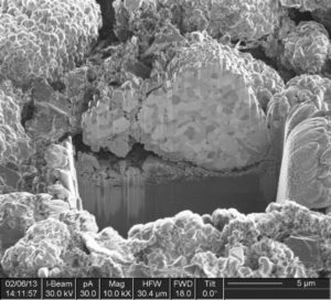 FIB cross-section of NCM cathode