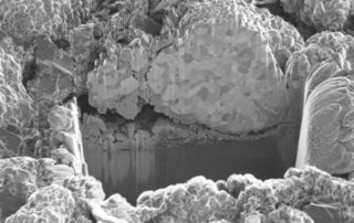FIB cross-section of NCM cathode